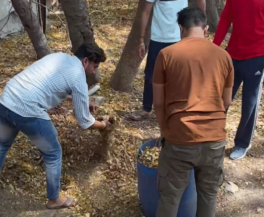Ramdoot Restores volunteers collecting dry leaves and waste during a temple premises cleanup drive.