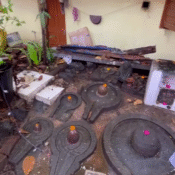Neglected Shiva Lingams lying exposed and scattered in a courtyard, partially submerged in water and debris.
