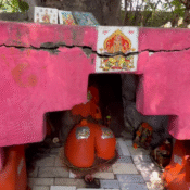 A small shrine painted in red, housing a cracked Shivling and Nandi under a large tree with deep roots and religious stickers on top.